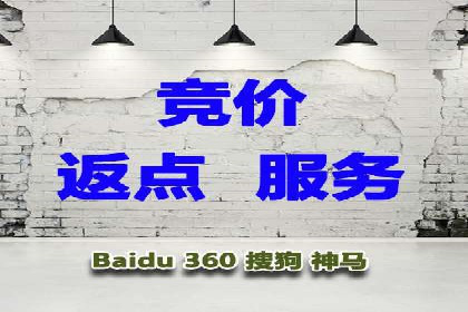 行业领先企业如何运用SEM进行精准营销